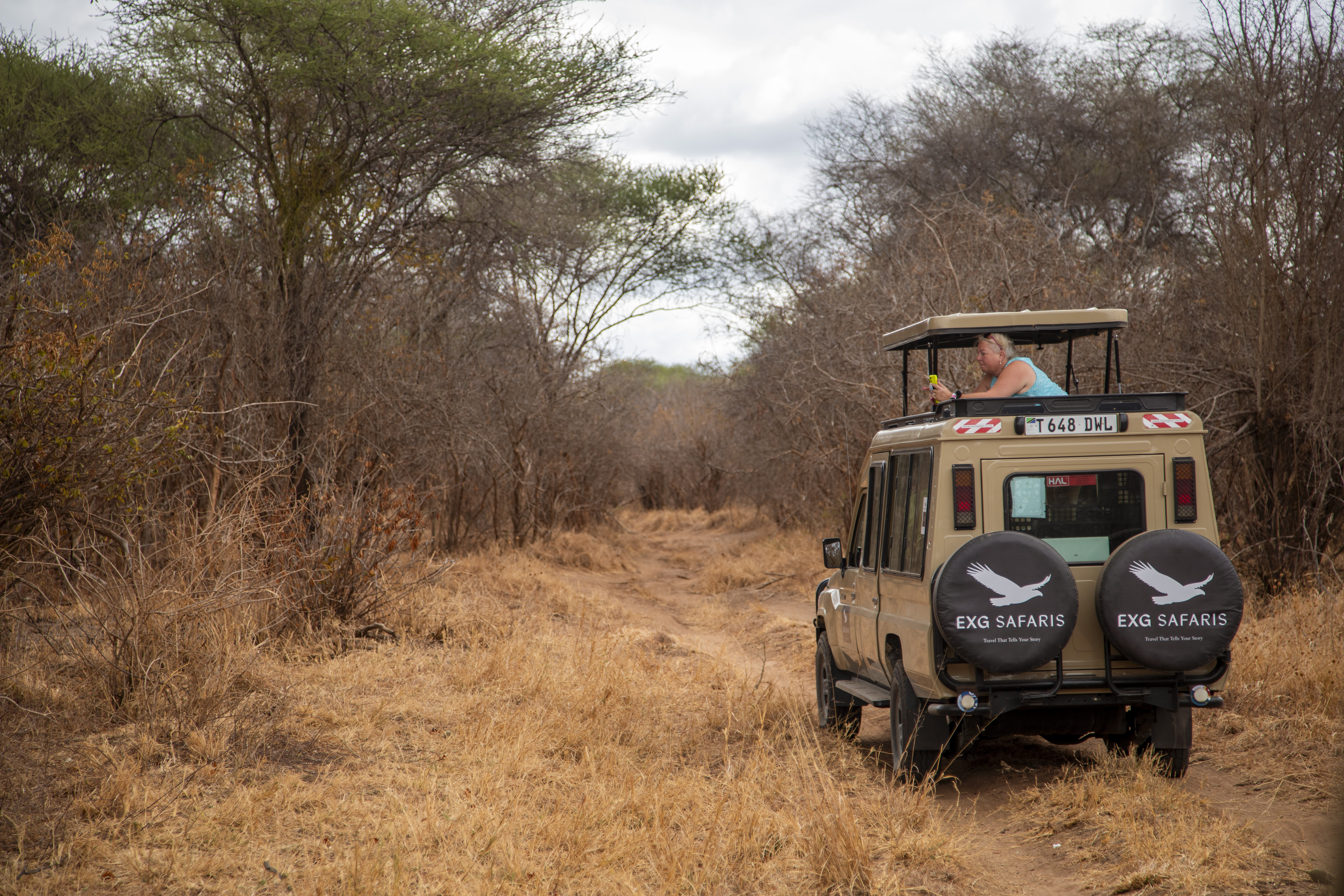 The Serengeti at First Light