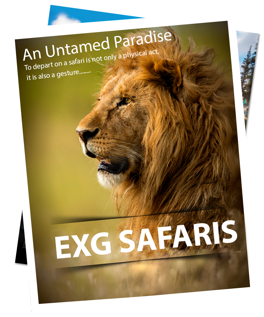 EXG Safaris safari brochure cover