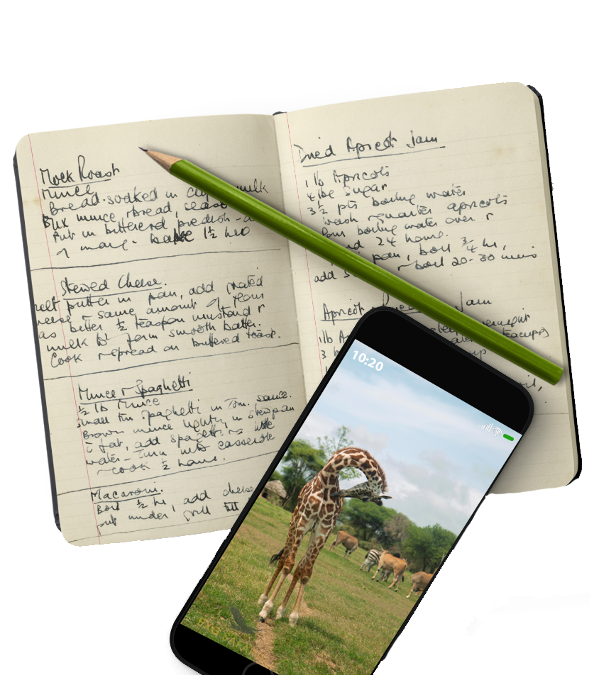 Safari journal